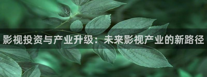 奇奇影院手机版