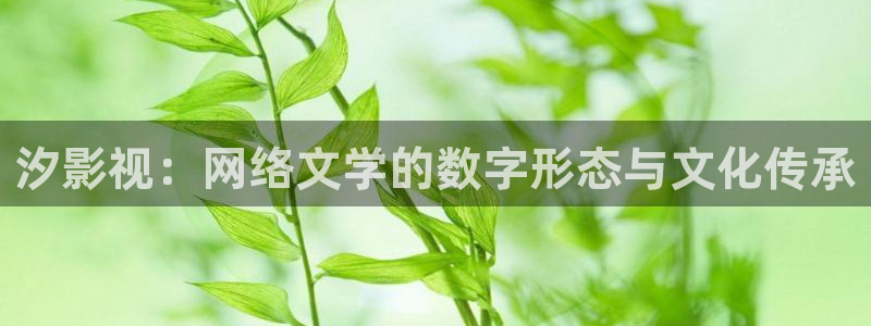奇奇影院午夜网