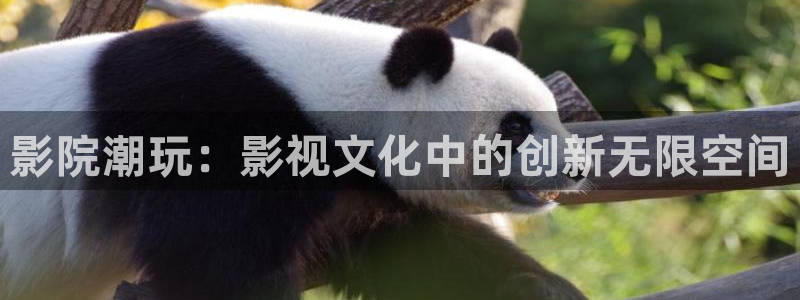 奇奇网影院