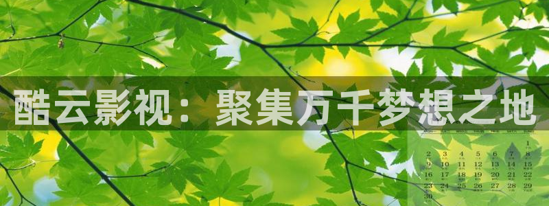 奇奇影院在线播放